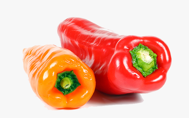 Production and exportation   of peppers to overseas 