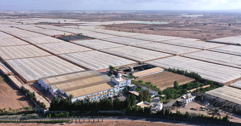 A pepper farm with a history